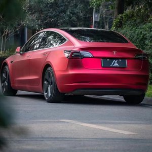 骚逼子好莱污视频
