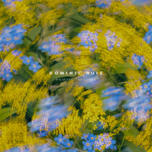 骚逼子好莱污视频
